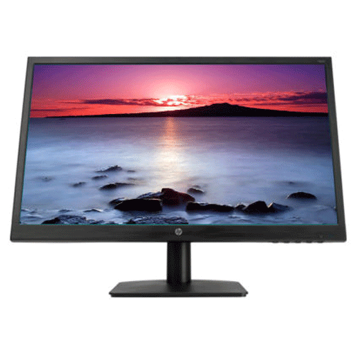 HP N223v 21-inch Monitor 