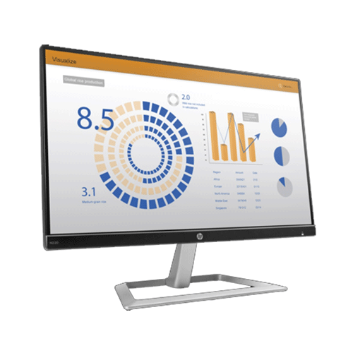 HP N220 21-inch Monitor 